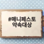 매니페스토 약속대상