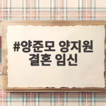 양준모 양지원 결혼 임신 소식, 이혼 고백과 겹경사 총정리 양준모 양지원 결혼 임신