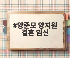 양준모 양지원 결혼 임신
