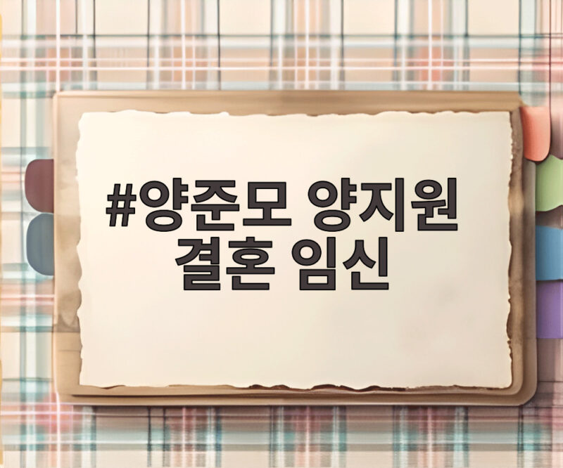 양준모 양지원 결혼 임신