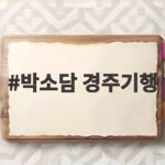 박소담 경주기행 건강 회복한 모습으로 돌아온 복수극 기대되는 이유 박소담 경주기행