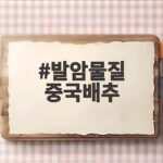 발암물질 중국배추 국내 유입 논란 식약처 확인 상황 총정리 발암물질 중국배추