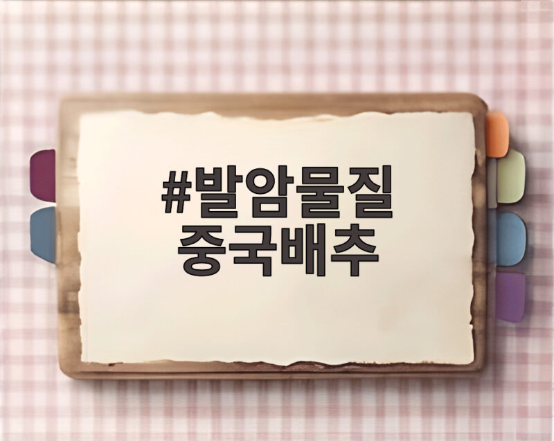 발암물질 중국배추