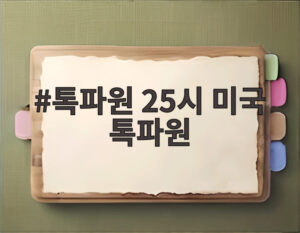 톡파원 25시 미국 톡파원