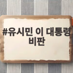 유시민 이 대통령 비판