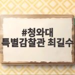 청와대 특별감찰관 최길수