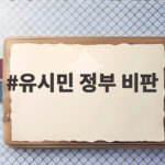 유시민 정부 비판