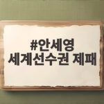 안세영 세계선수권 제패