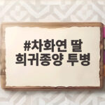 차화연 딸 희귀종양 투병 고백 눈물, 완치까지의 시간 차화연 딸 희귀종양 투병