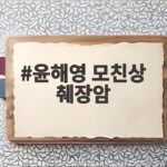 윤해영 모친상 췌장암 비보 뒤늦은 고백 어머니 향한 그리움 윤해영 모친상 췌장암