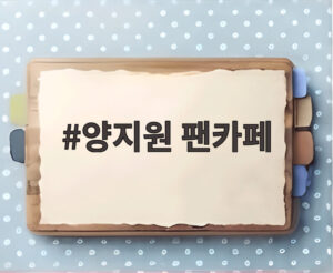 양지원 팬카페