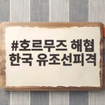 호르무즈 해협 한국 유조선피격