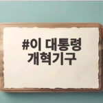 이 대통령 개혁기구