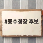 중수청장 후보