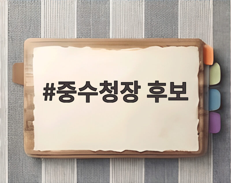 중수청장 후보