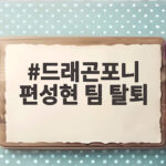드래곤포니 편성현 팀 탈퇴