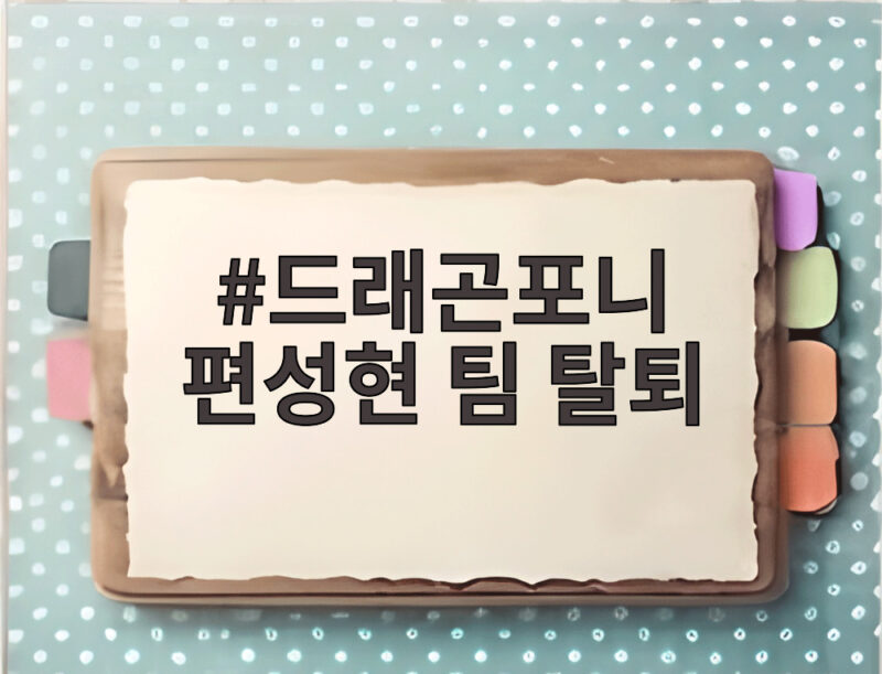 드래곤포니 편성현 팀 탈퇴