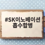 SK이노베이션 흡수합병, 분리막 사업 통합의 의미와 향후 전망 SK이노베이션 흡수합병