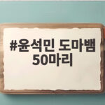 윤석민 도마뱀 50마리 집에서 키우는 취미에 아내가 분노한 이유 윤석민 도마뱀 50마리