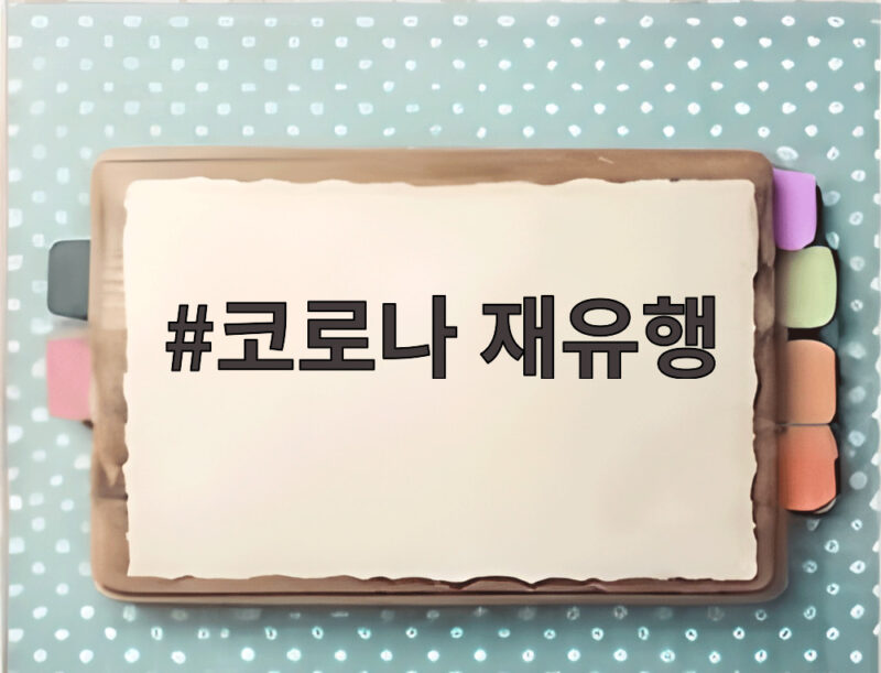 코로나 재유행 여름철 확산세 국내 검출률 증가 안전 대비 방법 1 코로나 재유행