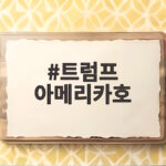 트럼프 아메리카호