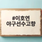 이호연 야구선수고향