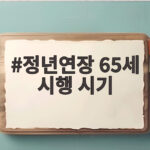정년연장 65세 시행 시기, 2029년부터 2037년까지 단계적 확대 정년연장 65세 시행 시기