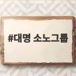 대명 소노그룹 세무조사 250억 주택 사적 사용 혐의 핵심 정리 대명 소노그룹