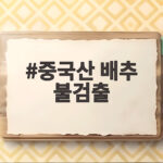 중국산 배추 불검출, 8건 검사 결과와 식약처의 조치는? 중국산 배추 불검출