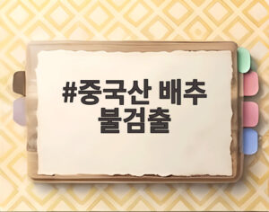 중국산 배추 불검출