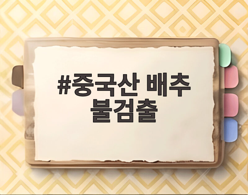 중국산 배추 불검출, 8건 검사 결과와 식약처의 조치는? 1 중국산 배추 불검출