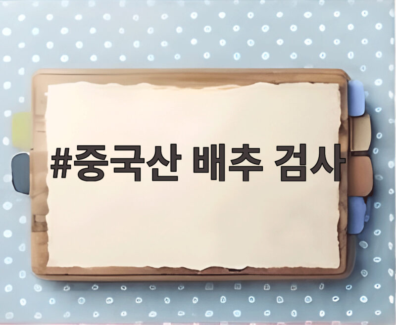 중국산 배추 검사, 포름알데히드 불검출 결과와 안전성 확인 1 중국산 배추 검사