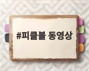 피클볼 동영상