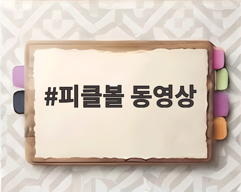 피클볼 동영상, AI 중계와 재능기부로 성장하는 국내 피클볼 트렌드 1 피클볼 동영상