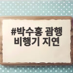 박수홍 괌행 비행기 지연