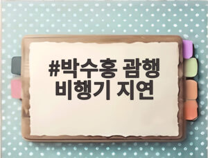 박수홍 괌행 비행기 지연