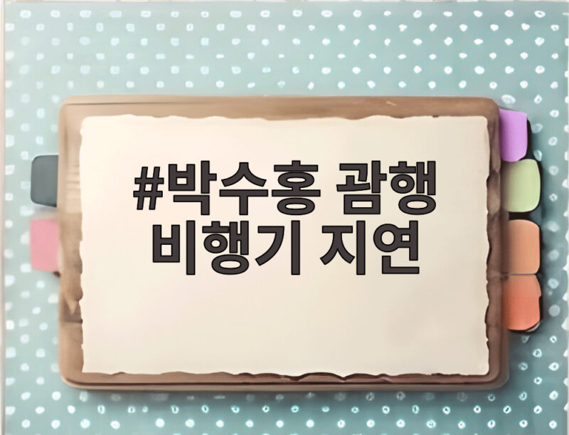 박수홍 괌행 비행기 지연, 아이 울음에 탑승 번복한 이유는 1 박수홍 괌행 비행기 지연