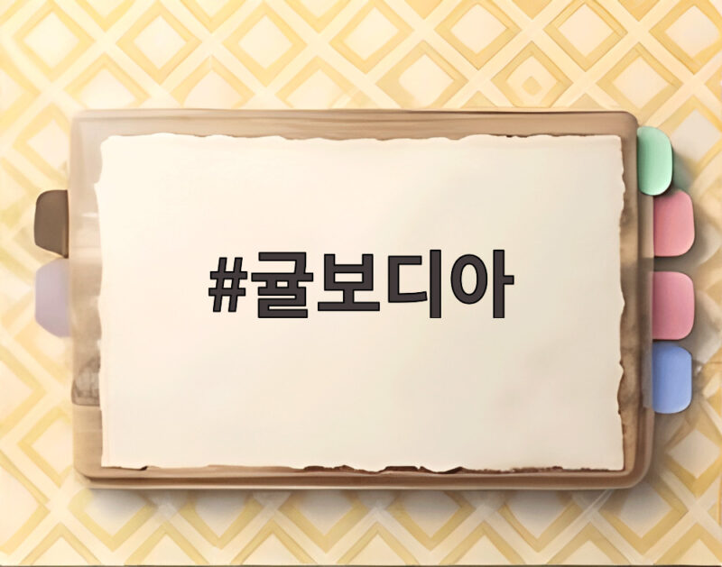 귤보디아 논란 제주 실종 사건 경찰 대응 문제와 진실 공개 1 귤보디아