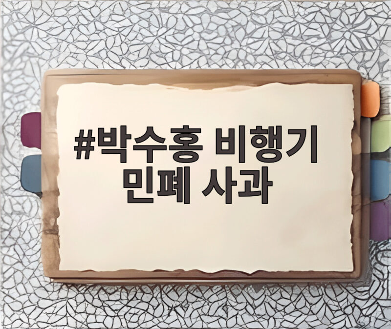 박수홍 비행기 민폐 사과 아이 울음에 하차 번복 논란 정리 1 박수홍 비행기 민폐 사과