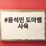 윤석민 도마뱀 사육 50마리와 함께 사는 일상 분양가와 관리 비용 확인 윤석민 도마뱀 사육