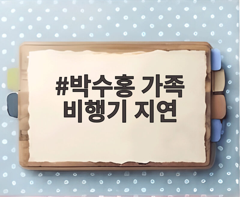 박수홍 가족 비행기 지연