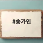 송가인