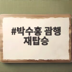 박수홍 괌행 재탑승 논란, 아이 울음에 하차했다가 다시 탄 사연 박수홍 괌행 재탑승