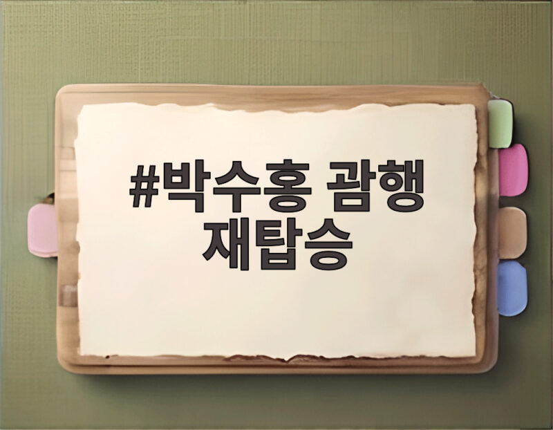 박수홍 괌행 재탑승 논란, 아이 울음에 하차했다가 다시 탄 사연 1 박수홍 괌행 재탑승