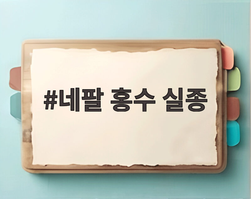 네팔 홍수 실종