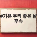 기쁜 우리 좋은 날 후속