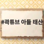 곽튜브 아들 태산