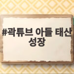 곽튜브 아들 태산 성장