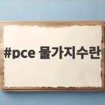 pce 물가지수란