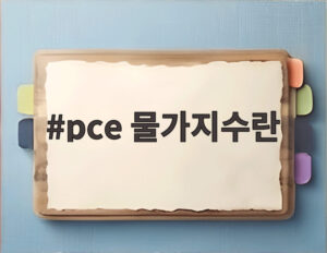 pce 물가지수란